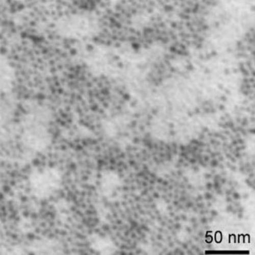 Copper NanoparticlesNanopowder ( Cu, 5~7nm)