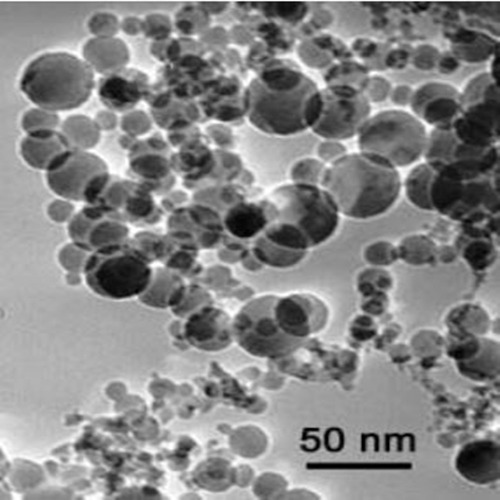 Silicon Oxide Nanoparticles  Nanopowder (SiO2, 10~20nm, 99.5%, non-porous)