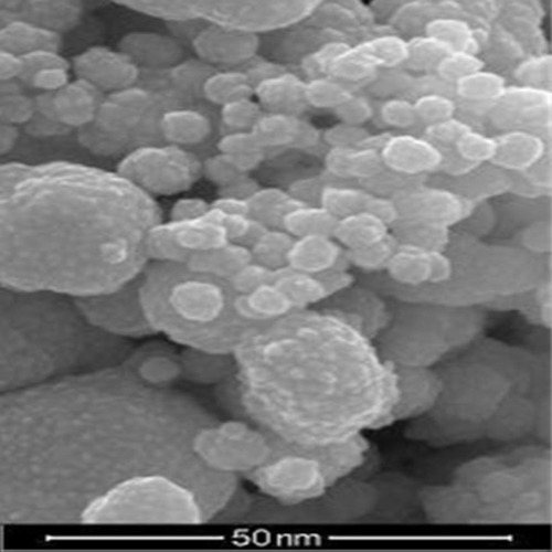 Gold Au Nanoparticles/ Nanopowder 99.9%, 20nm