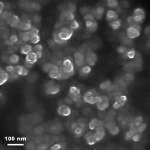 Super Activated Carbon Nanoparticles Nanopowder