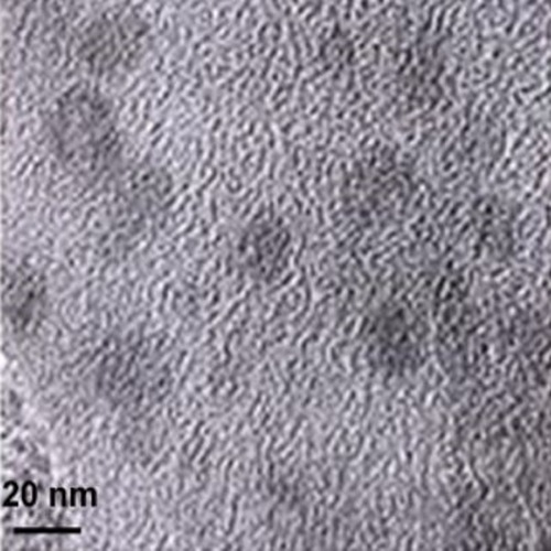 Silver Ag nanopowder nanoparticles self-dispersing 15 nm 25%