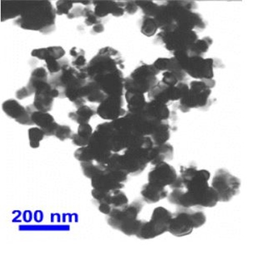 Boron Nitride Nanoparticles Nanopowder ( BN, Hexagonal, 99.5%, 100nm)