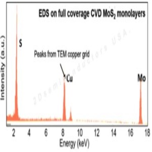 Full Area Coverage Monolayer MoS2 on SiO2/Si