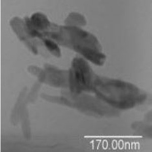 Hydroxylapatite nanoparticles  nanopowder (Ca10(PO4)6(OH)2)