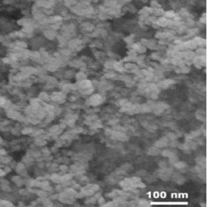 Silver Nanoparticles Nanopowder (Ag, 99.95%, 20~30nm, PVP coated)