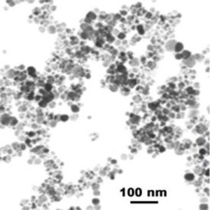 Iron Oxide Nanopowder  Nanoparticles ( Fe3O4, 98%, 20~30nm)
