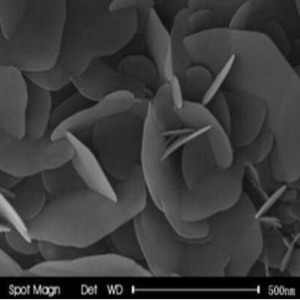 Boron Nitride Nanoparticles Nanopowder ( BN, Hexagonal, 99.5%, 500nm)