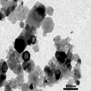 Lanthanum Oxide NanoparticlesNanopowder ( La2O3, 99.9%, 300~500nm)