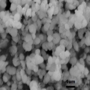 Yttrium Oxide Nanoparticles  Nanopowder （Y2O3, 99.995%, 0.5~1um)