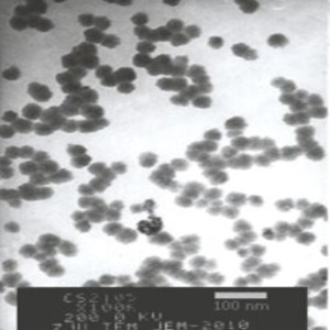 Titanium Oxide Nanoparticles  Nanopowder 99.5% Silane Coated