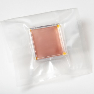 Monolayer hexagonal Boron Nitride (hBN) on copper foil 6”x 6” (150mm x 150mm)
